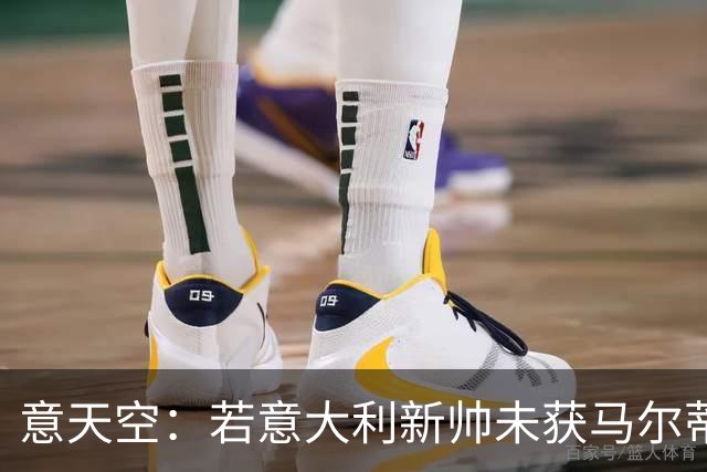 意天空：若意大利新帅未获马尔蒂尼和莱昂纳多认可，两人可能请辞