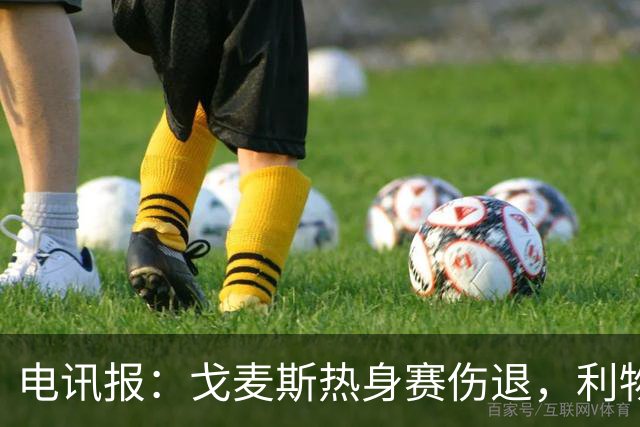 电讯报：戈麦斯热身赛伤退，利物浦眼前的最优解就是签斯通斯